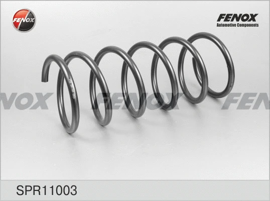Suspension Spring (SPR11003)