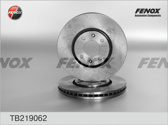 Brake Disc (TB219062)