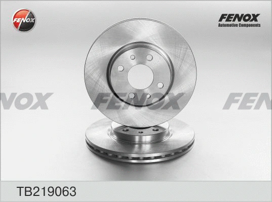 Brake Disc (TB219063)