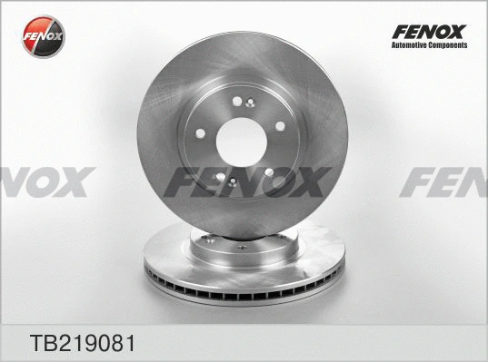 Brake Disc (TB219081)