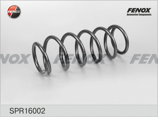 Suspension Spring (SPR16002)
