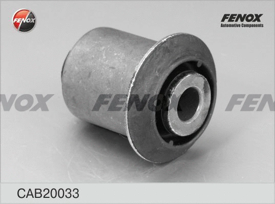 Mounting, control/trailing arm (CAB20033)