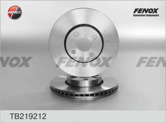 Brake Disc (TB219212)