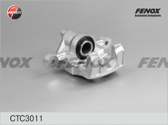 Brake Caliper Axle Kit (CTC3011)