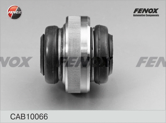 Mounting, control/trailing arm