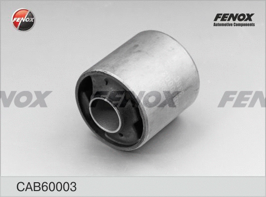 Mounting, control/trailing arm