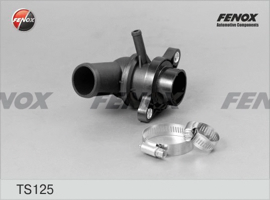 Thermostat, coolant (TS125)