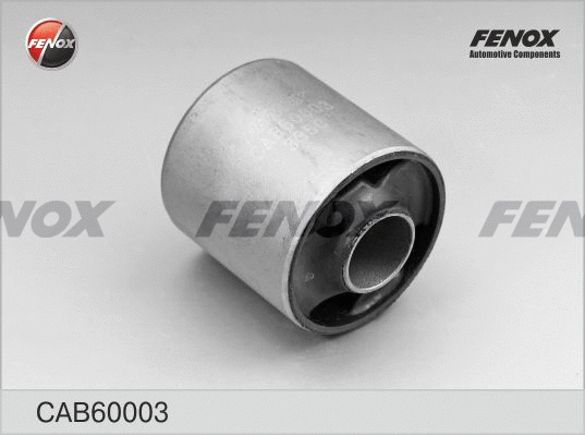 Mounting, control/trailing arm (CAB60003)