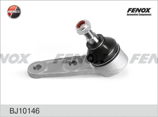 Ball Joint (BJ10146)