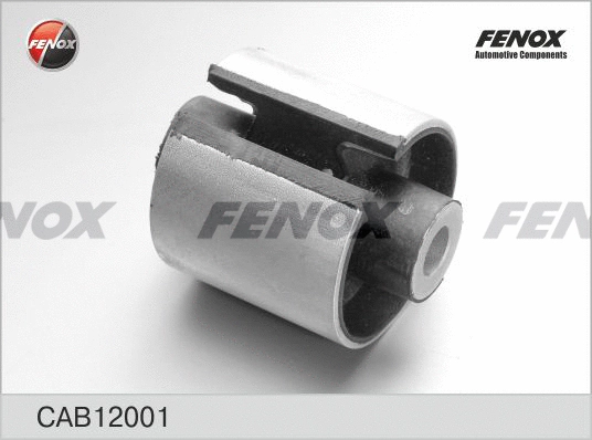 Mounting, control/trailing arm (CAB12001)