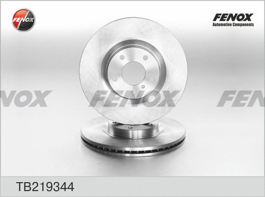 Brake Disc (TB219344)