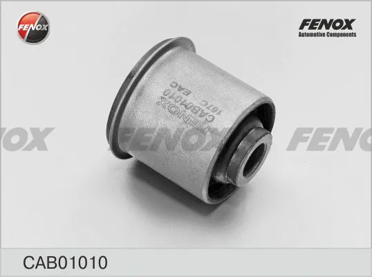 Mounting, control/trailing arm (CAB01010)