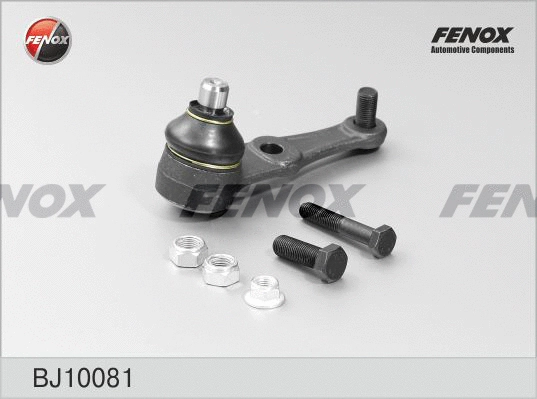 Ball Joint (BJ10081)