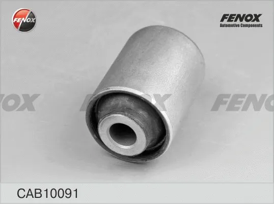Mounting, control/trailing arm (CAB10091)