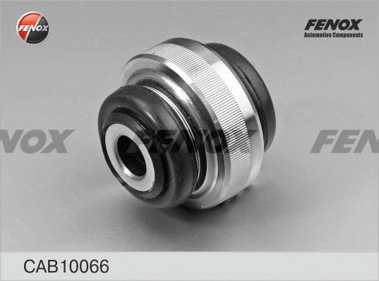 Mounting, control/trailing arm