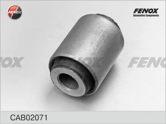 Mounting, control/trailing arm (CAB02071)