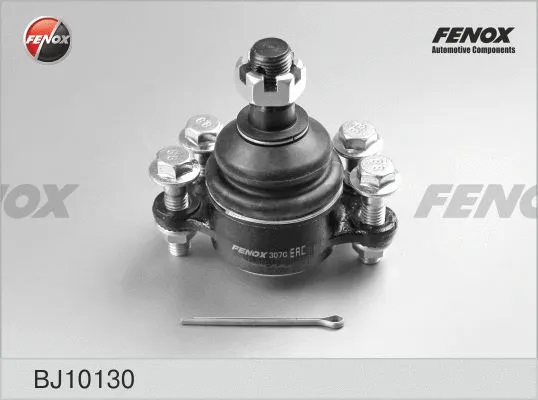Ball Joint (BJ10130)