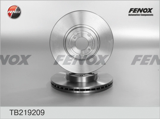 Brake Disc (TB219209)
