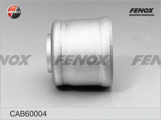 Mounting, control/trailing arm