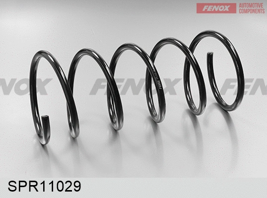 Suspension Spring (SPR11029)