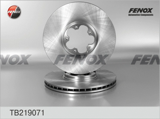 Brake Disc (TB219071)