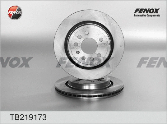 Brake Disc (TB219173)