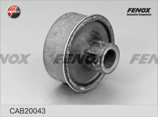 Mounting, control/trailing arm (CAB20043)
