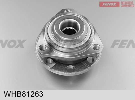 Wheel Hub (WHB81263)