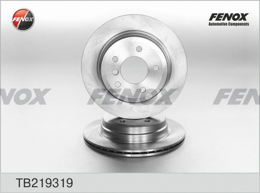 Brake Disc (TB219319)