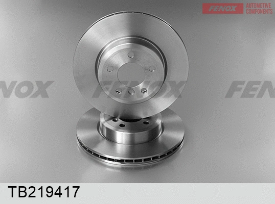 Brake Disc (TB219417)