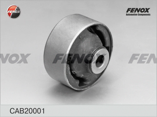 Mounting, control/trailing arm (CAB20001)