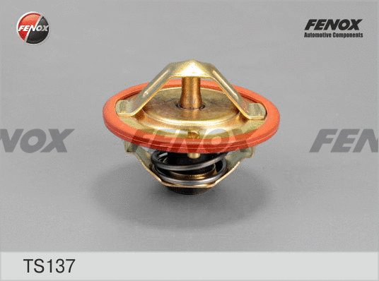 Thermostat, coolant (TS137)