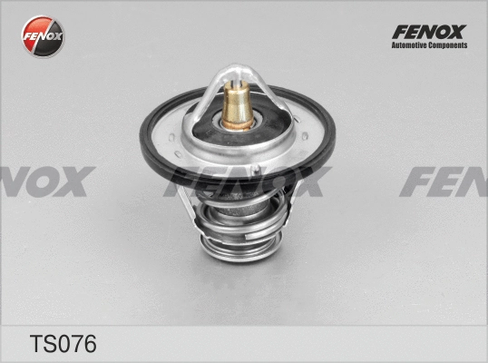 Thermostat, coolant (TS076)