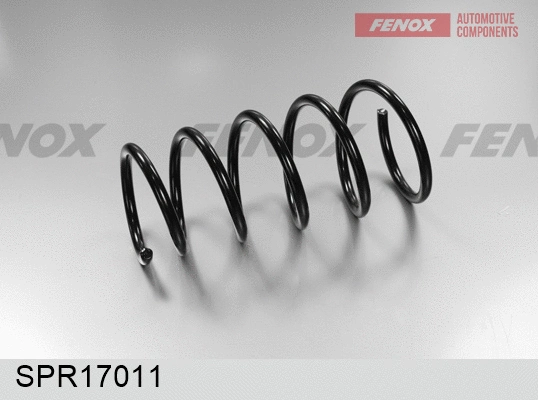 Suspension Spring (SPR17011)