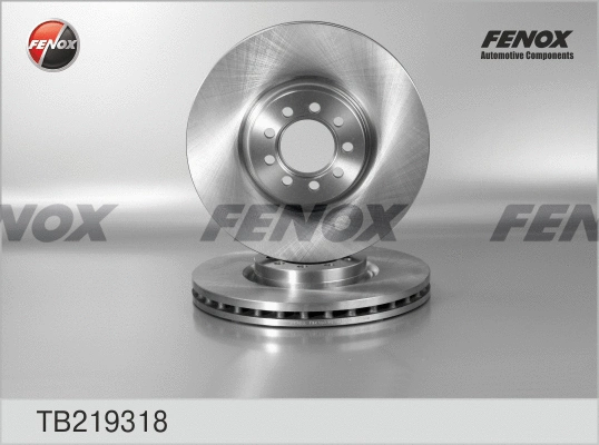 Brake Disc (TB219318)