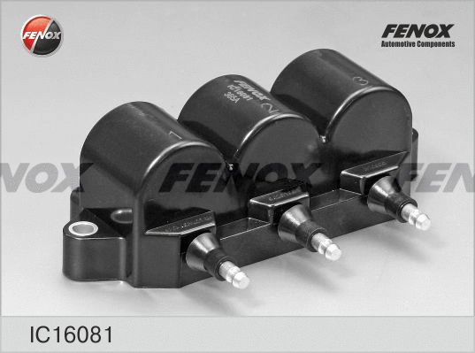 Ignition Coil (IC16081)