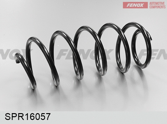 Suspension Spring (SPR16057)
