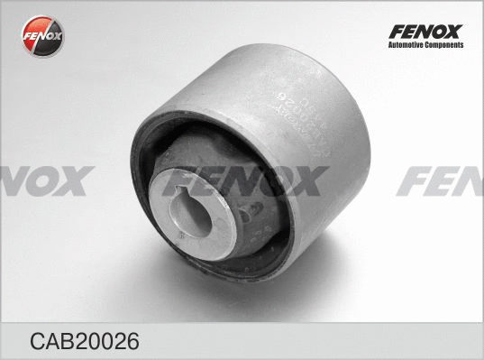 Mounting, control/trailing arm