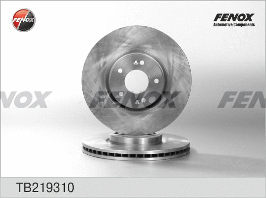 Brake Disc (TB219310)