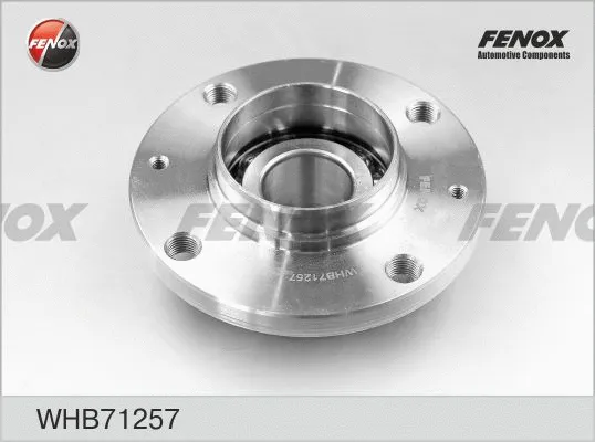 Wheel Hub (WHB71257)