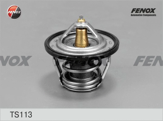 Thermostat, coolant (TS113)