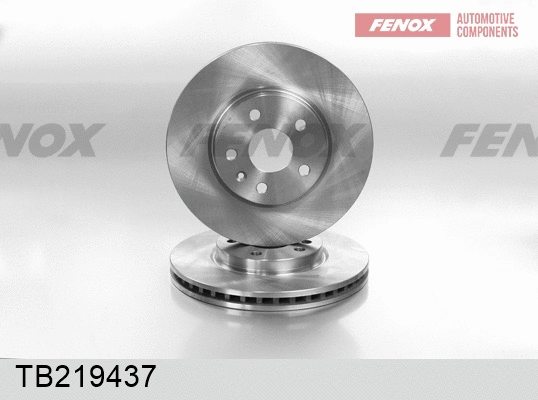 Brake Disc (TB219437)