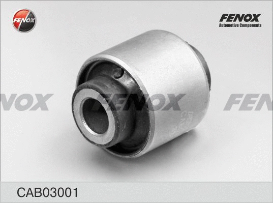 Mounting, control/trailing arm