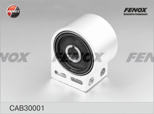 Mounting, control/trailing arm