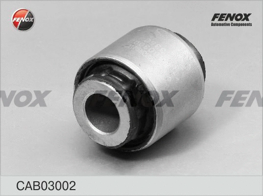 Mounting, control/trailing arm