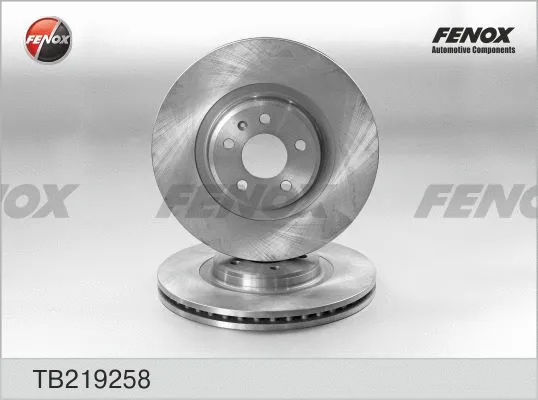 Brake Disc (TB219258)