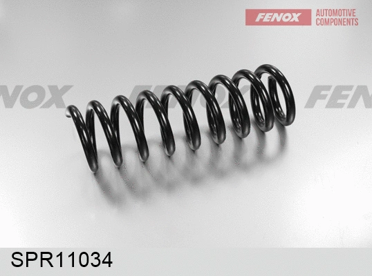 Suspension Spring (SPR11034)