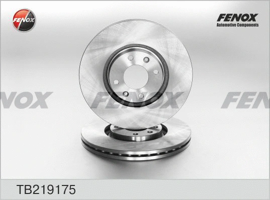 Brake Disc (TB219175)