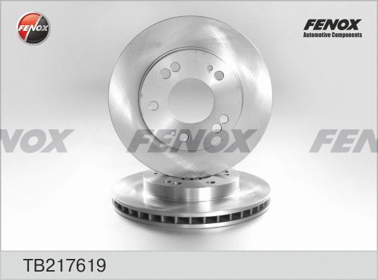 Brake Disc (TB217619)
