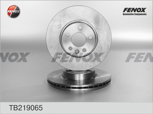 Brake Disc (TB219065)